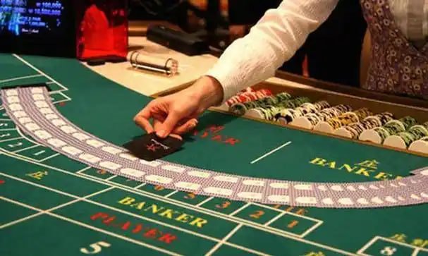 Gana77 taruhan olahraga live betting real-time odds kompetitif Indonesia
